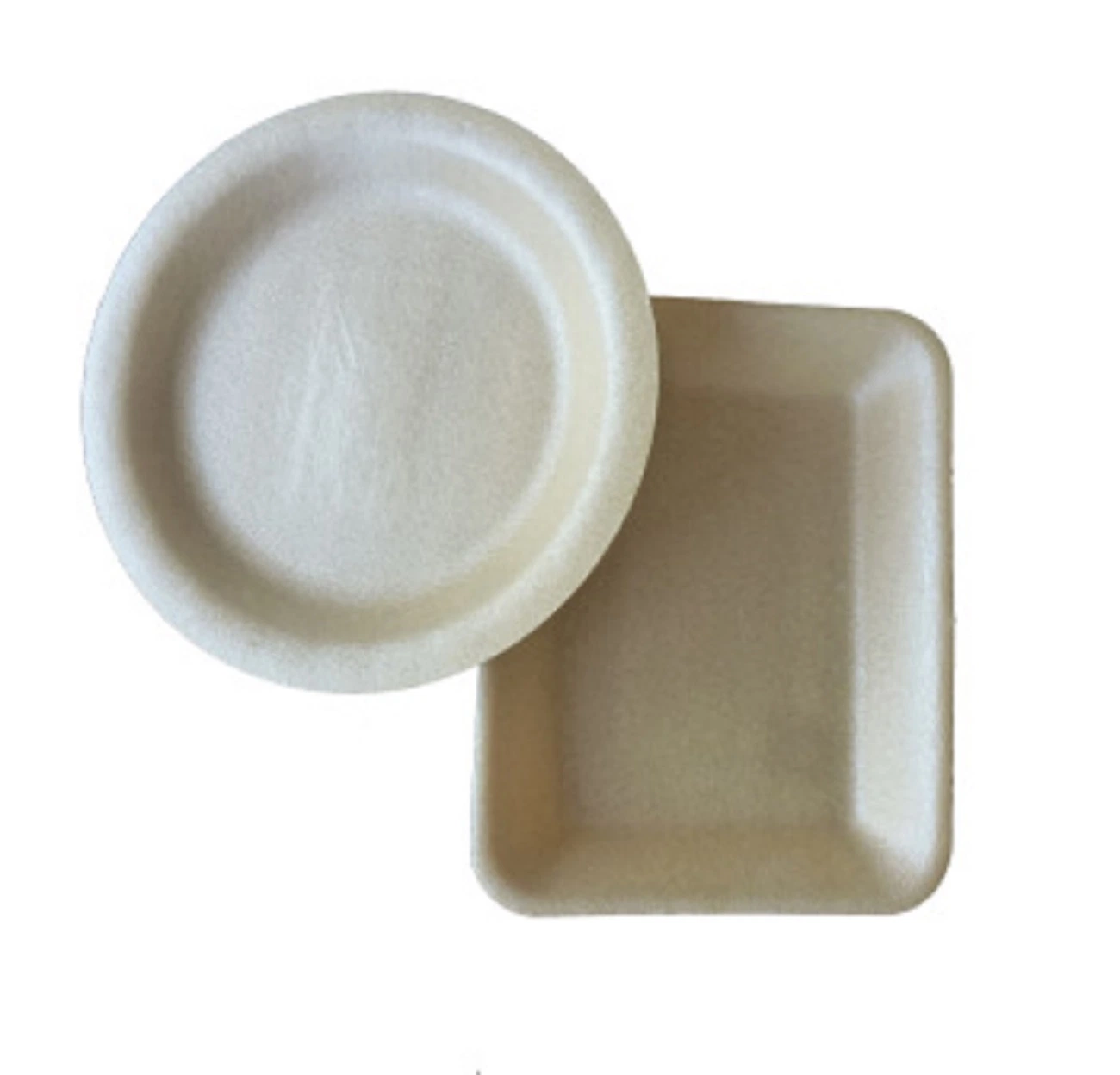 PLA New Material Plastic Fresh Produce for Plants Meat Trays