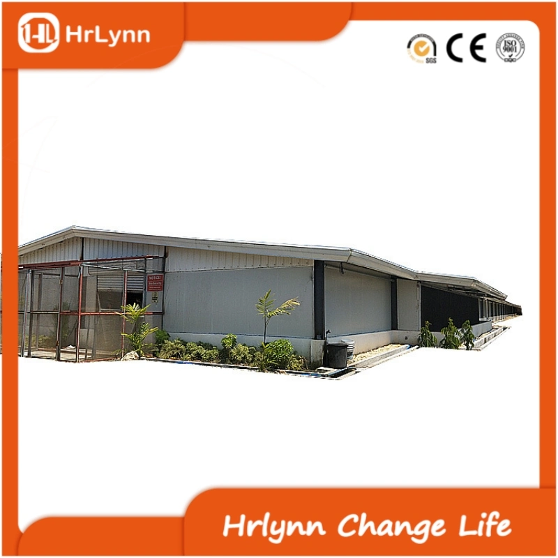 Steel Structure Free-Range Cage Layer Chicken Broiler Fully Automated Equipment Chicken House