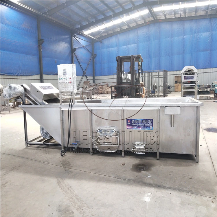 Multi Function Fruits and Vegetable Cleaner Machine