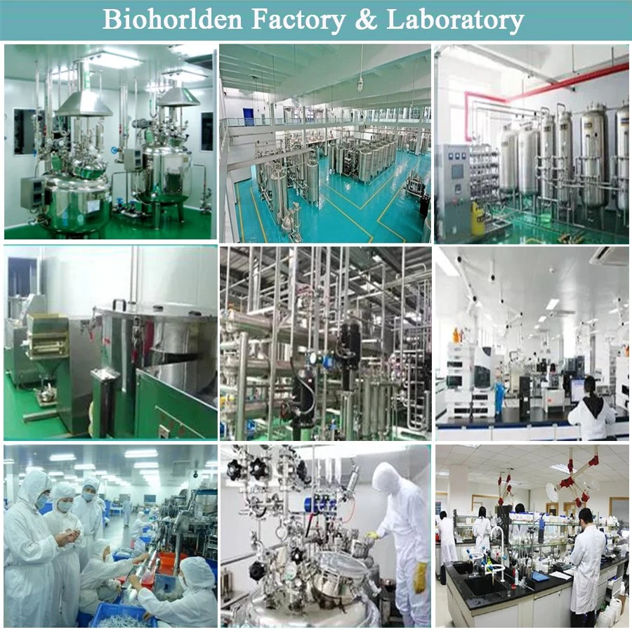 Manufacturer Supply Hot Selling Vitamin B3 Nicotinamide 98-92-0 Food Additives Raw Powder Vitamin B3