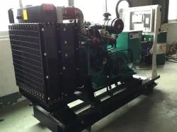 Pipeline Gas 10-600kw Natural Gas Generator (LPG/CNG/LNG) High Performance CE ISO Approved Manufacturer Price
