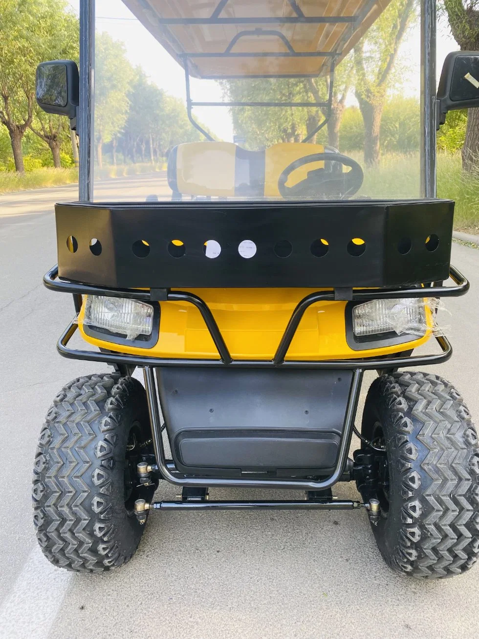 250cc Cheap 6 Seats Gas Powered off-Road Golf Cart/Mini Gas Cars for Sale Golf Buggy