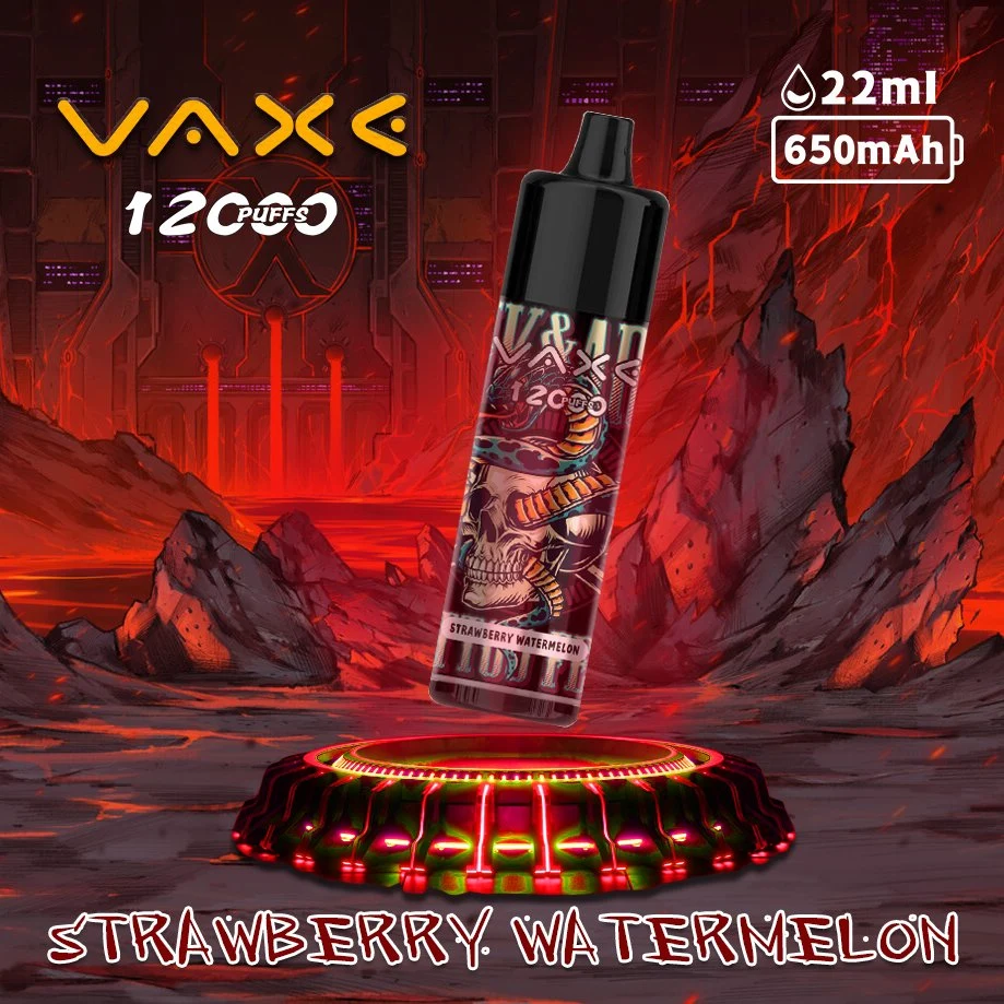 Vaxe VAPE original 12000 Puffs 22ml E-Juice Factory Wholesale/Supplier desechable Eligarette Mazaj Insta Bar Roma Atomizer ISTA Ale Fakher Custom Vaporizador