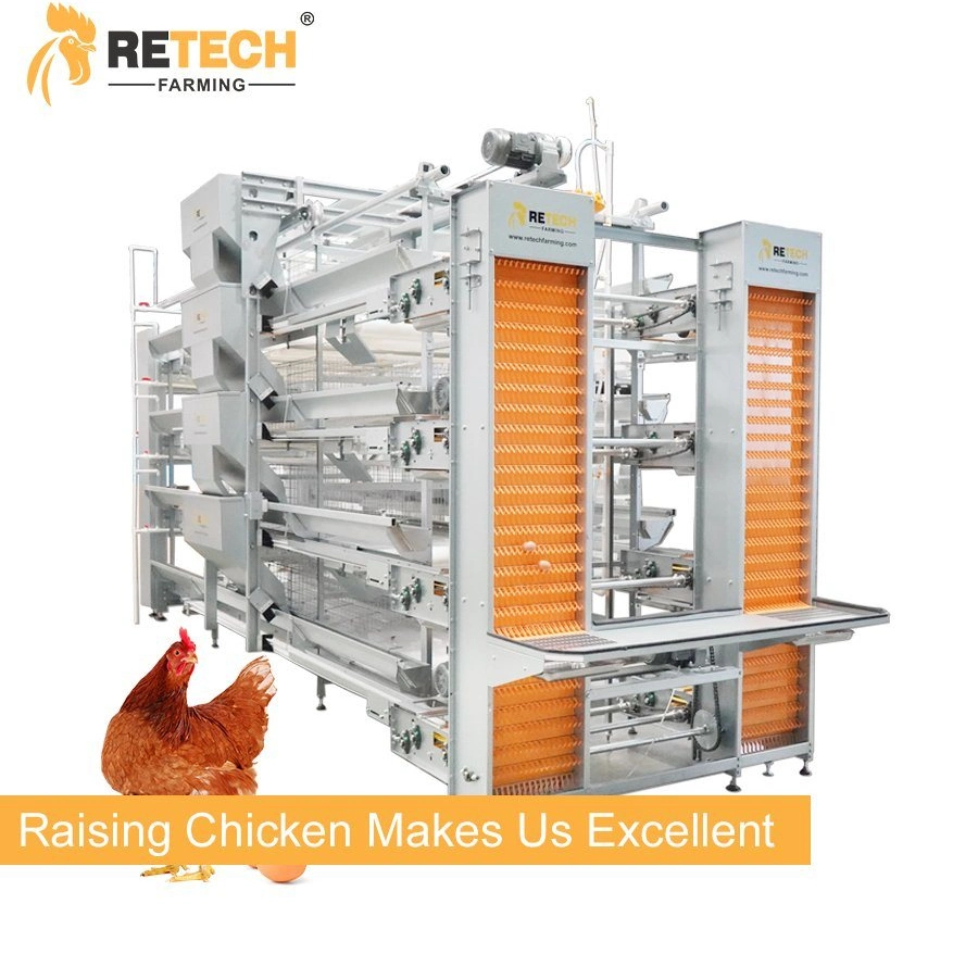 Layer Chicken Cage Poultry Farm Equipment in Indonesia