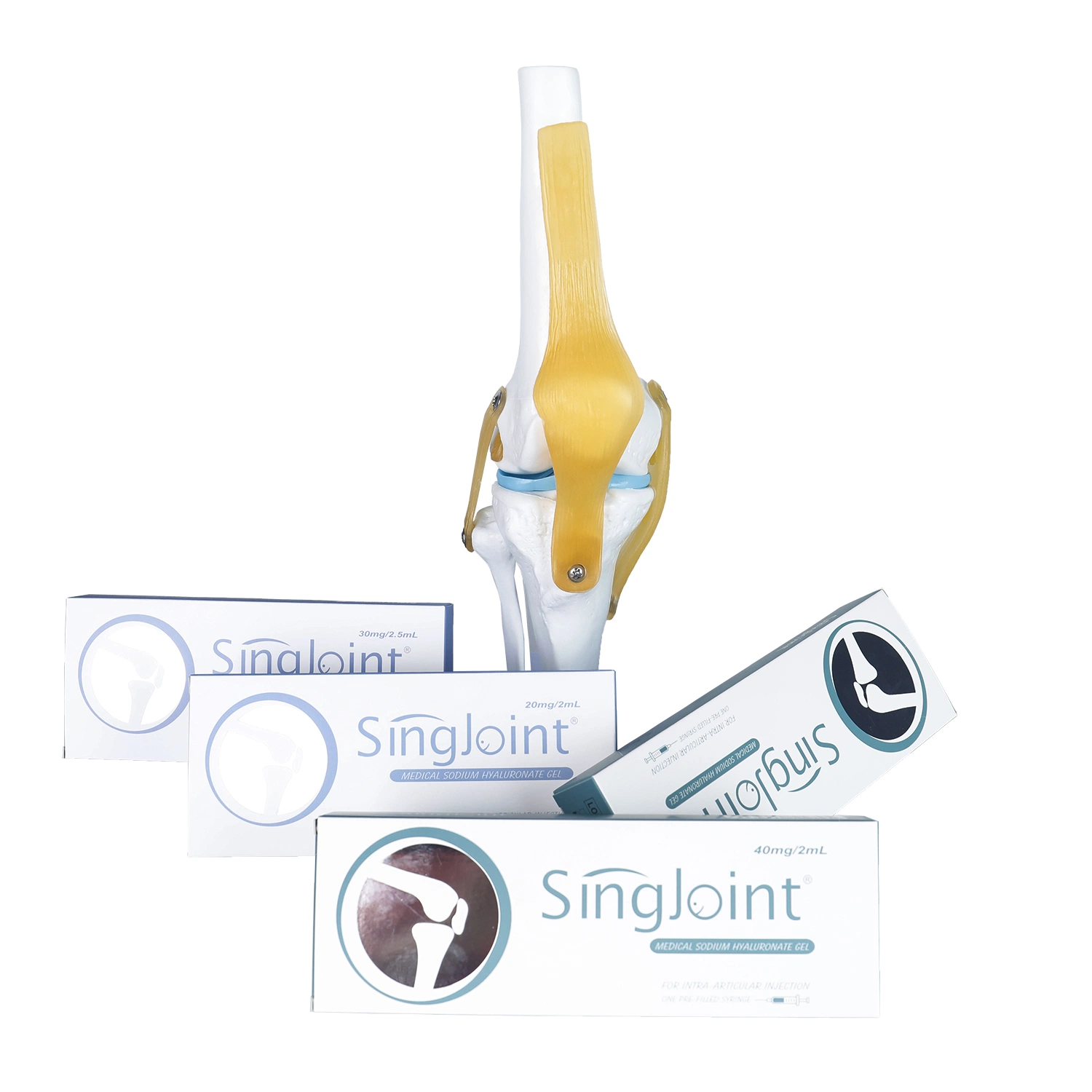 Singjoint Medical Sodium Hyaluronate Gel for Bone Joint with Ce 20mg/Ml