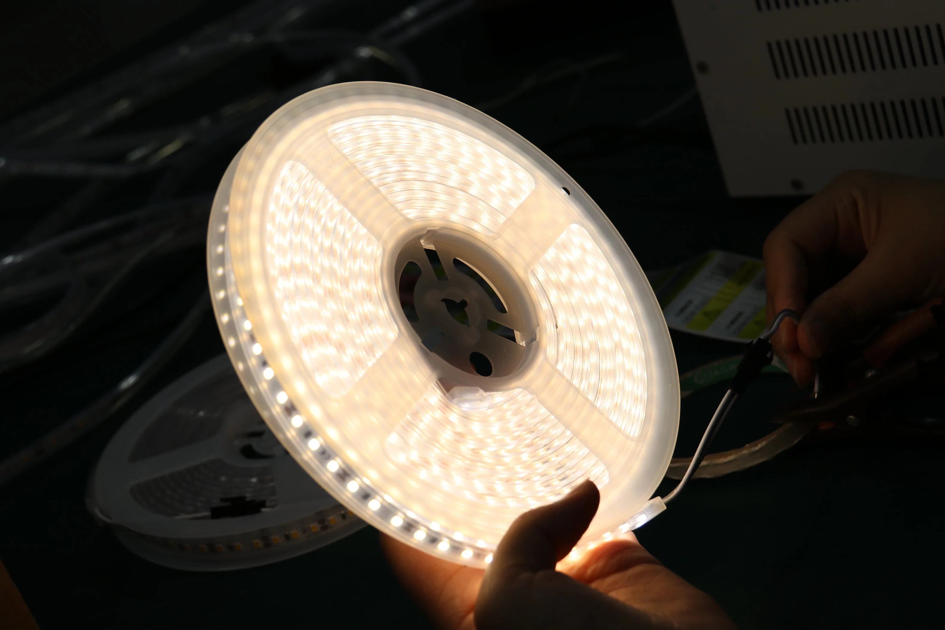 ERP Standard Flexible LED Strip Lighting with High CRI IP65 LED Strips