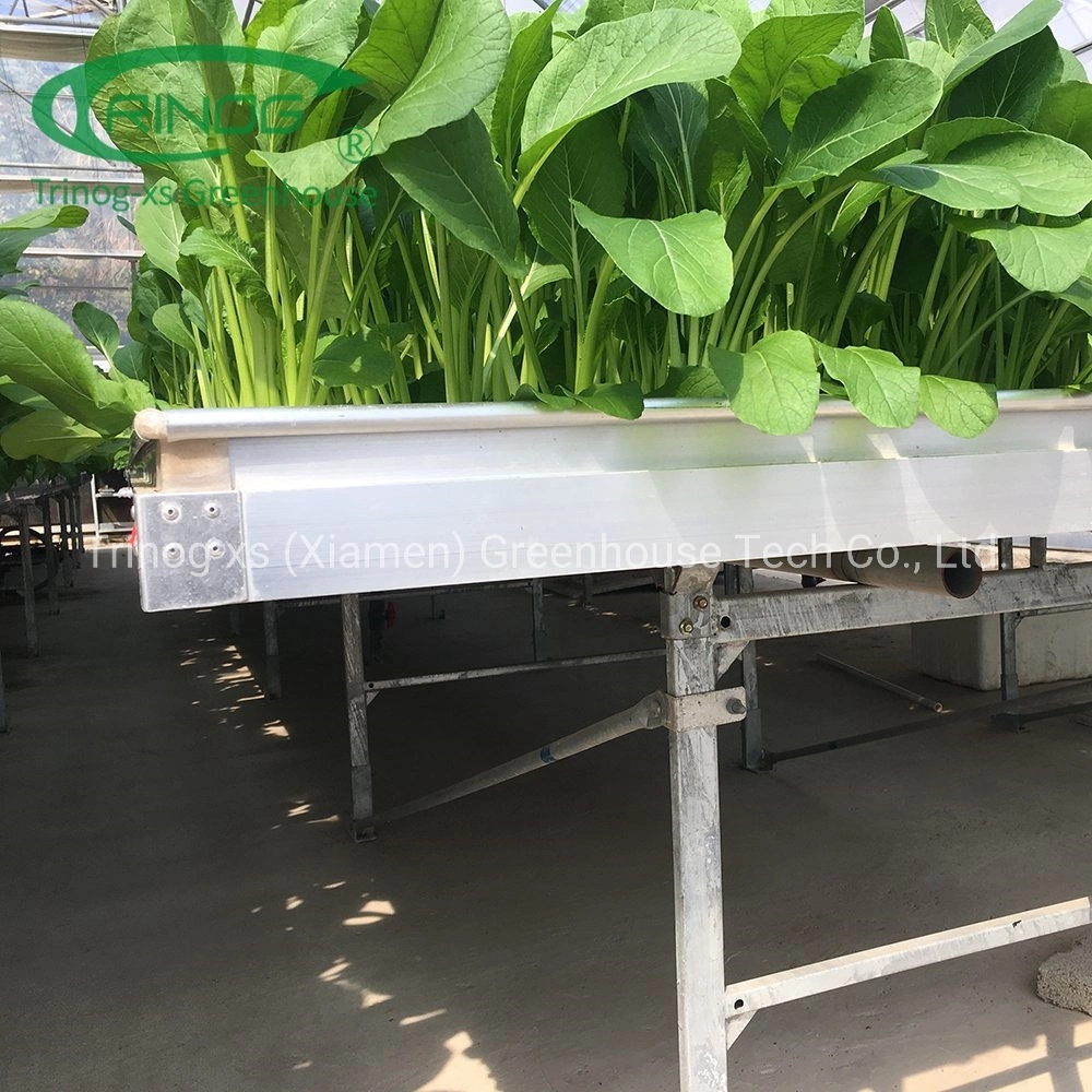 Ebb and Flow tray bench hydroponics system for seedling