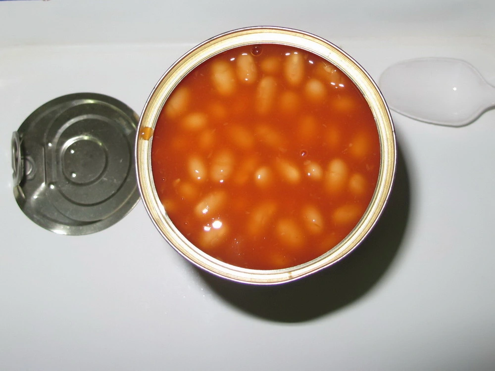 Best Canned Food Canned Baked Beans 425g in High Quality