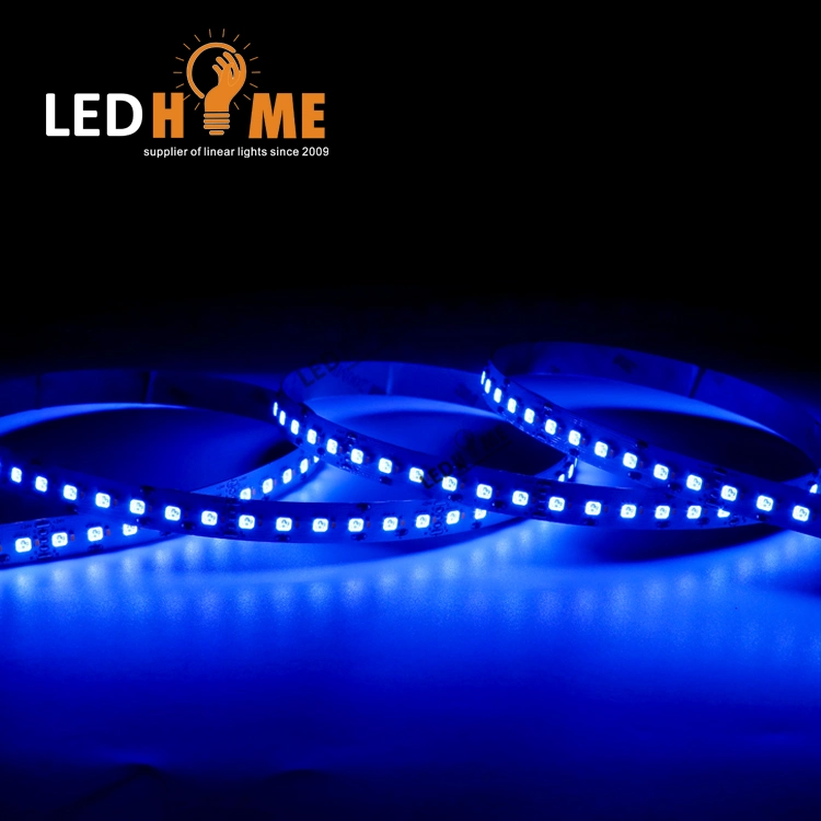 SMD3838 LED RGB Light Strip with Color Adjustable LED Lighting