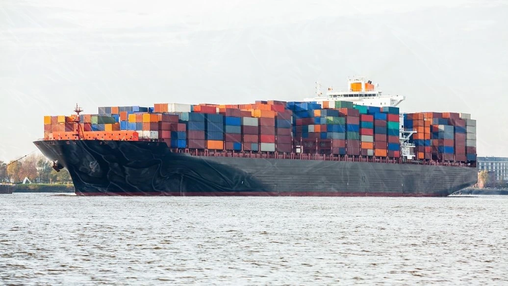 Envío rápido marítimo de China Agente de envío LCL Freight Forwarder