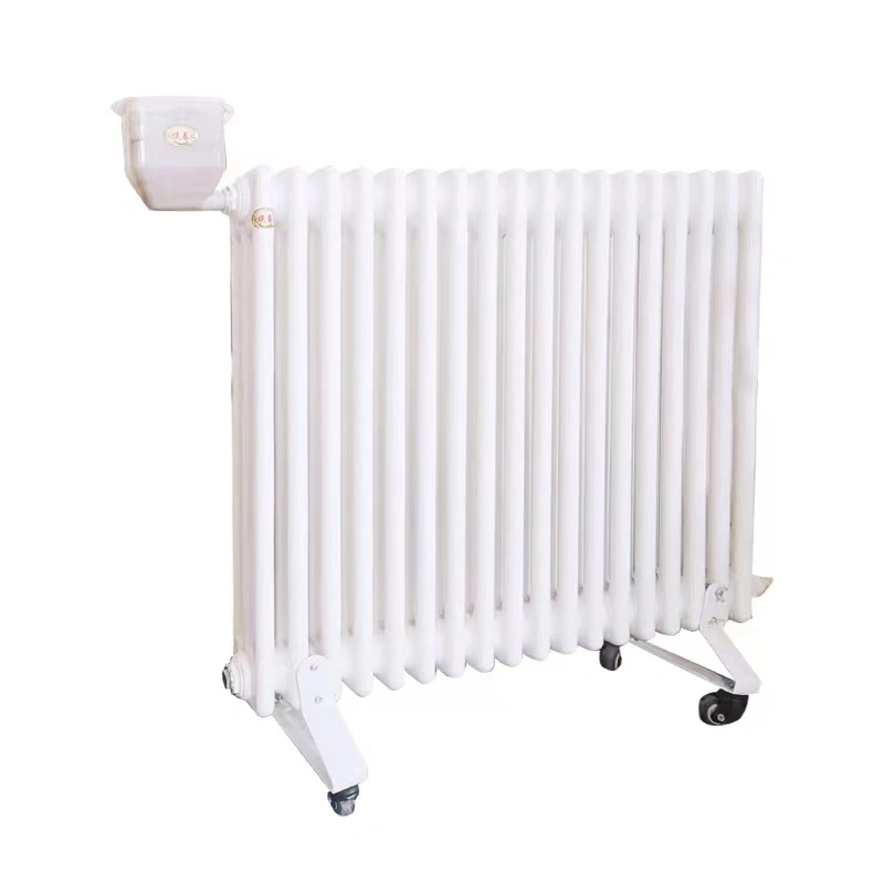 Model Powder Coated Mirror Design Vertical Heating Radiator