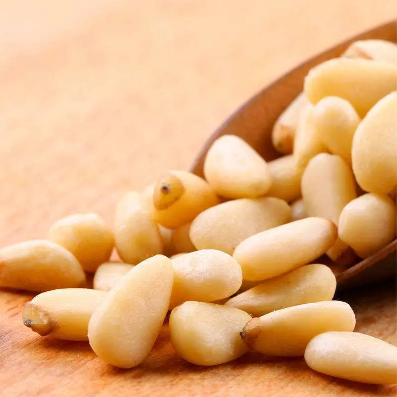 Top Quality Pine Nuts Kernels