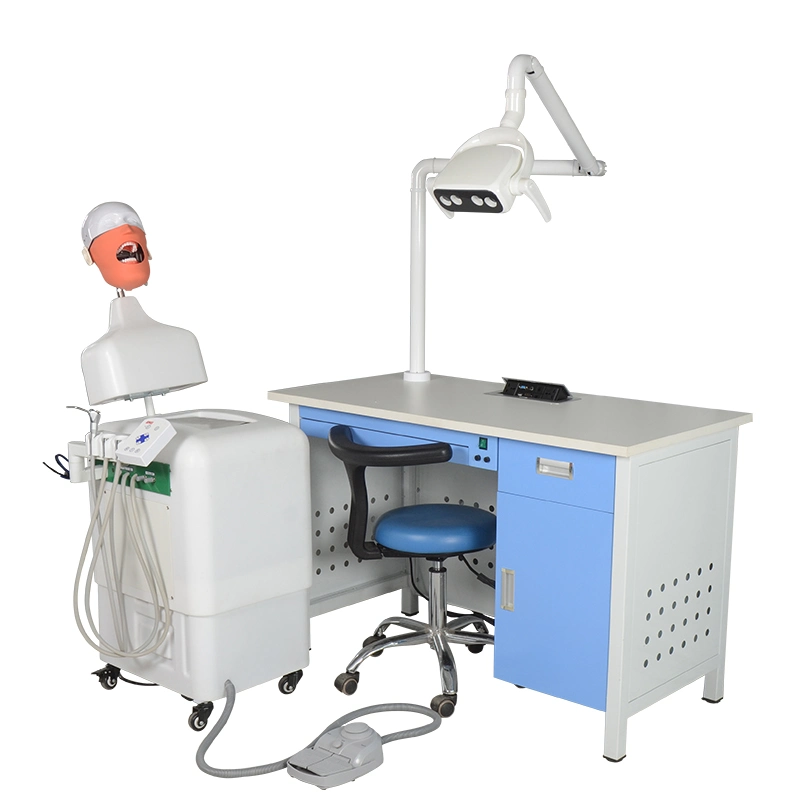 Economic Trachea Intubation Model Adult Intubation Training Simulator