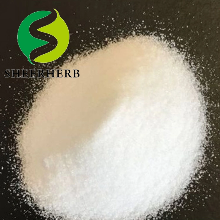 Pharmaceutical Intermediates CAS 103-90-2 Raw Materials Antipyretic Analgesia Panadol Acetaminophen Paracetamol