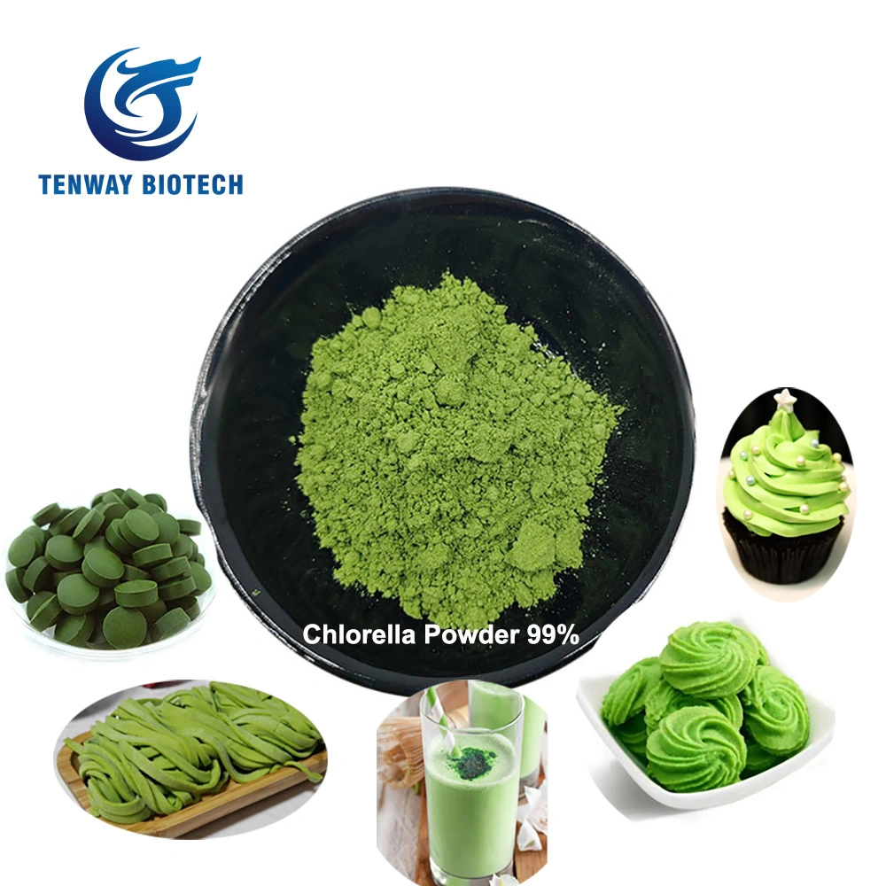 99% Pure Organic Green Powder Natural Chlorella Powder in Bulk Package for Sale at Low Price