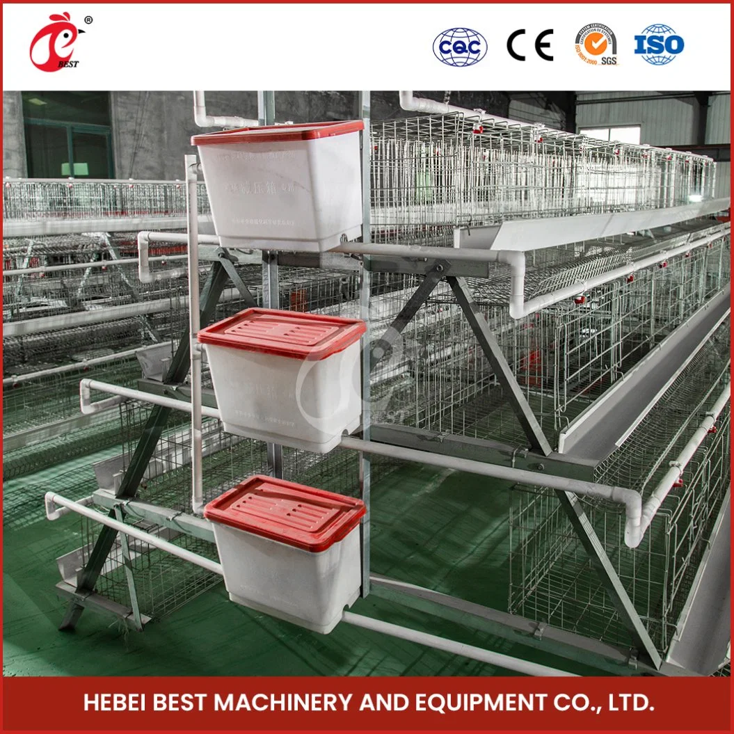 Bestchickencage A Type Layer Cage China Indoor Chicken Layer Cage Fabrik OEM Custom Heat a Chicken Layer Coop Konfiguration Huhn Coop-Heizung