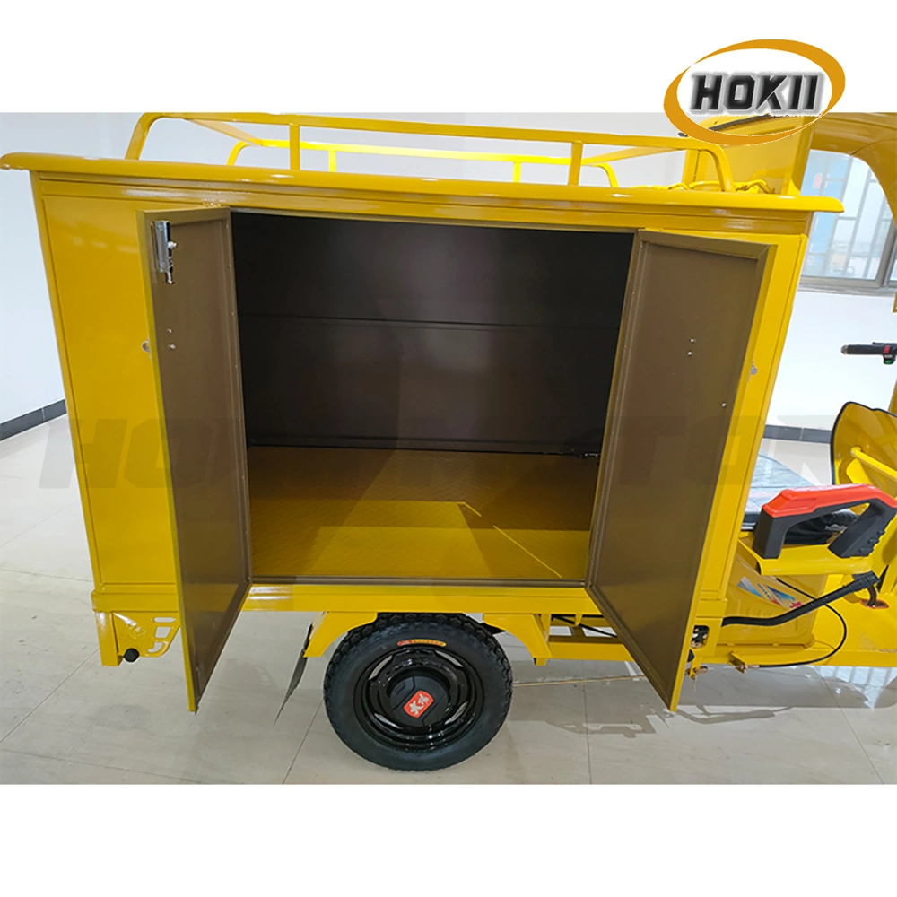 Popular Sell Express Delivery Tricycle Electric Cargo Triciclo in China Local Market