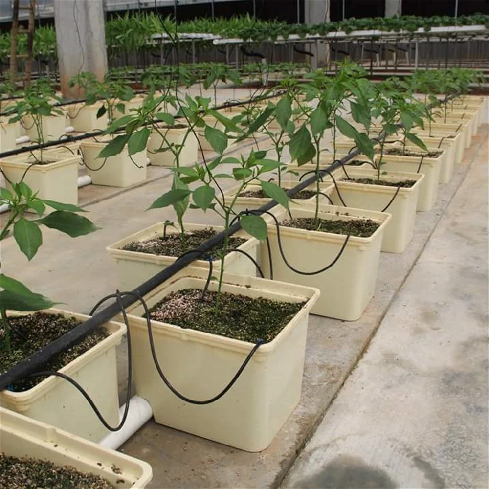 Estufa do sistema de Hydroponics do balde holandês plástico para tomates