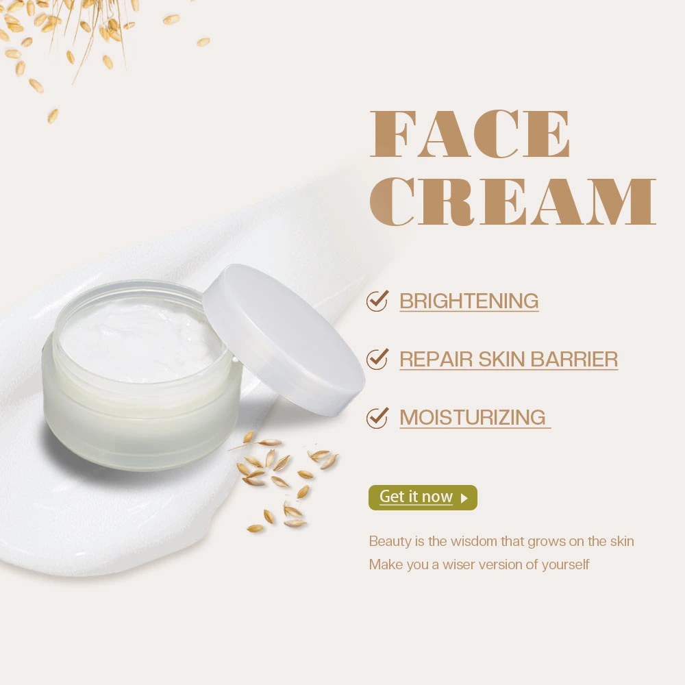 Lenços faciais Anti Envelhecimento Anti Acne cuidados da pele Definir Orgânicos Face Natural Care rótulo privado embranquecimento hidratantes Arroz Definido