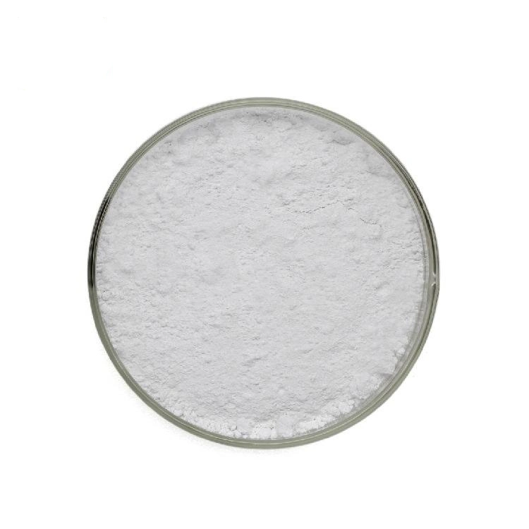 Rutile Type Chemical TiO2 First Class Grade Titanium Dioxide for Powder Coating