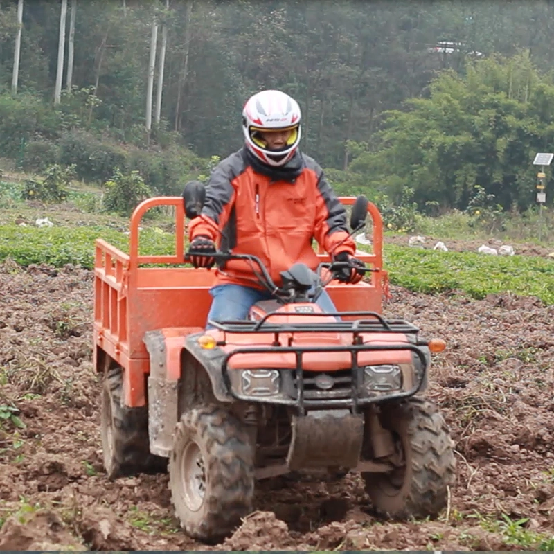 Suspensión independiente de 12V 32Ah batería ATV Quad Cuatriciclo eléctrico 32V 4x2