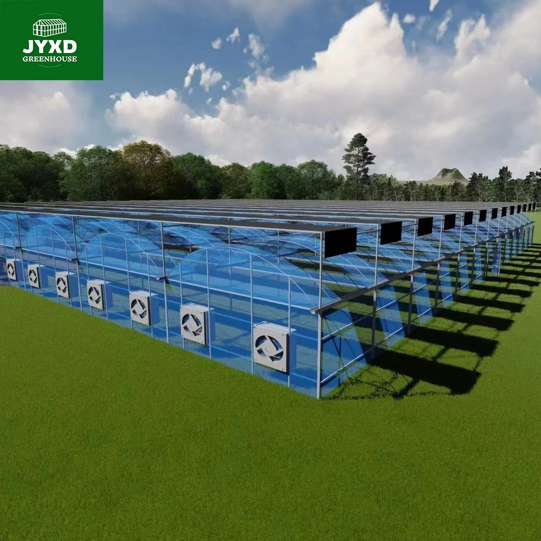 Modern Agriculture Plastic Film Multi-Span Greenhouse with Cooling System for Vegetables/Fruits/Flowers/Tomato/Lettuce/Pepper/Strawberry/Blueberry