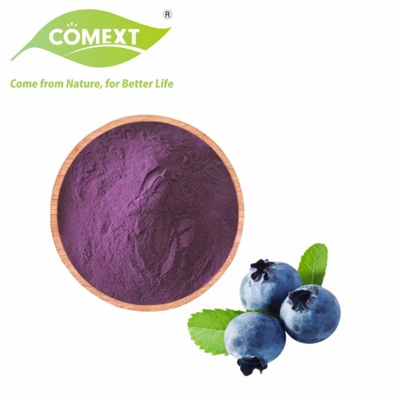 Comext European Bilberry Fruit Extract Powder 25% antocianinas para Anti-Aging