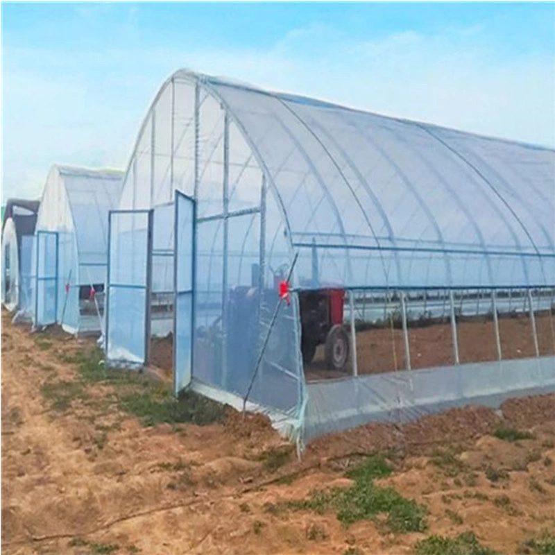 Flower and Vegetable Greenhouses with Single-Span Film