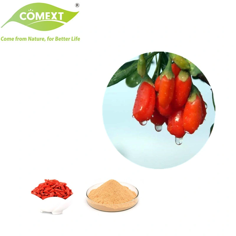 Comext Bulk Improve Immunity Reduce Blood Sugar Wolfberry Fruit Natural Freeze Dried Lycium Goji Berry Extract