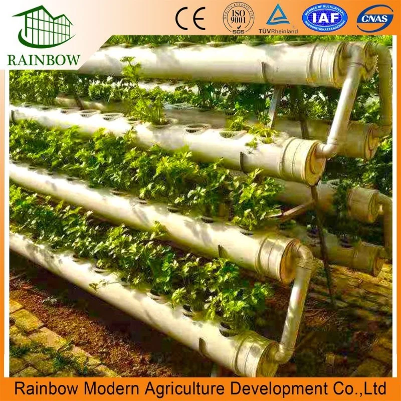 Vertical Nft Hydroponics Farming Growing System for Green Leaf Vegetables/ Celery/ Lettuce