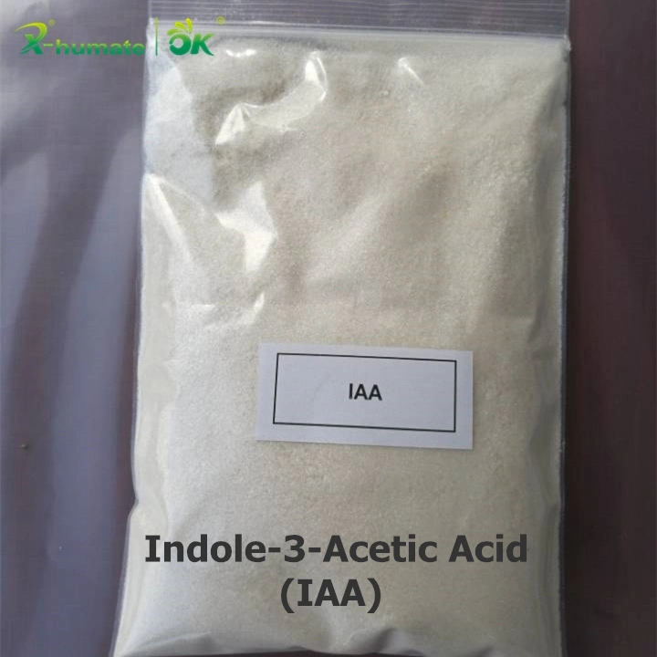 X-Humate produz indol-3-acético Iaa regulador de crescimento