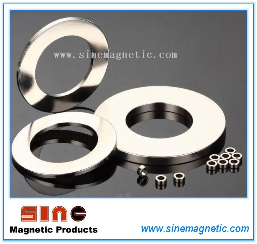 Rare Earth Ring Permanent Neodymium Magnet for Speaker