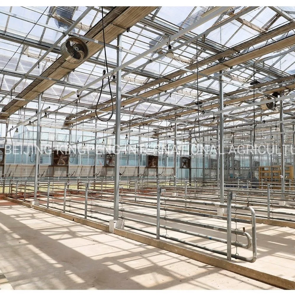 Polycarboneate Sheet/Glass/Film Covering Greenhouse with Shading System for Vegetable/Fruit/Forage Grass/Herbage