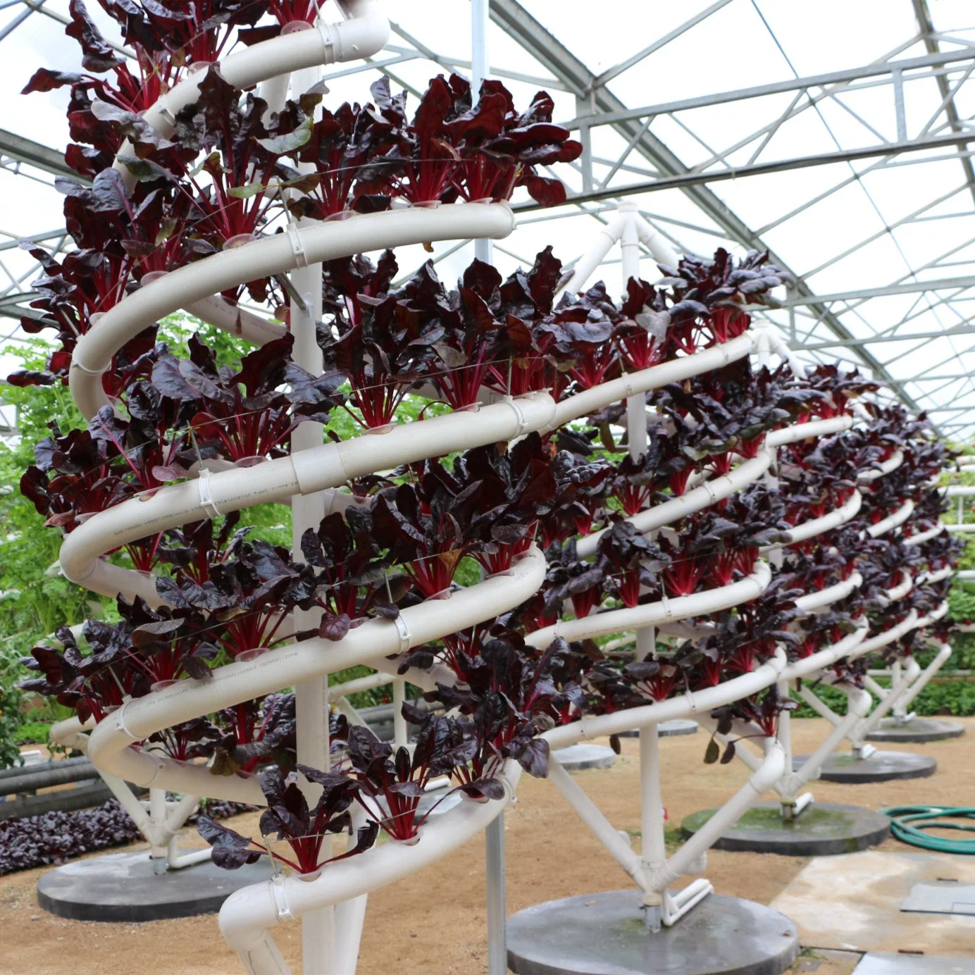 Elegant Spiral Style Hydroponics for Leafy Vegetables/Spinach/Lettuce/Sugar Beet