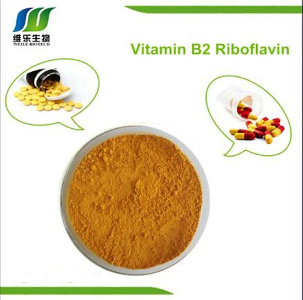 Activo Ingredientes farmacêuticos a vitamina B1, B2, B3, B5 B6, B9, B12