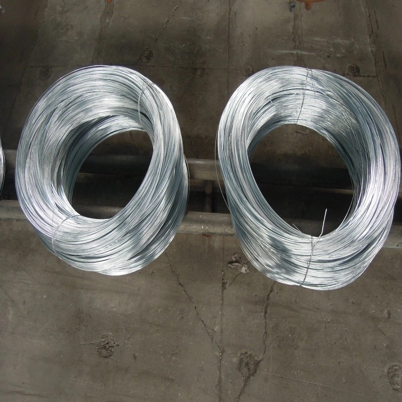 Electro and Hot Dipped Galvanized Wire for Metal Mesh