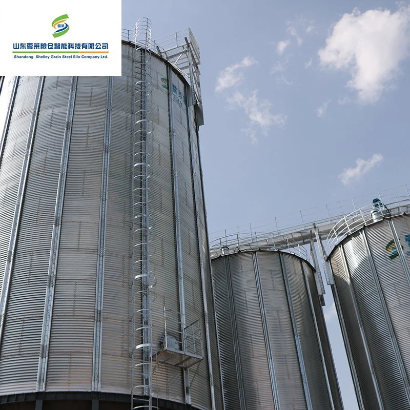 Acero corrugado galvanizado grano trigo maíz arroz de remos almacenamiento Silos Proveedor de China