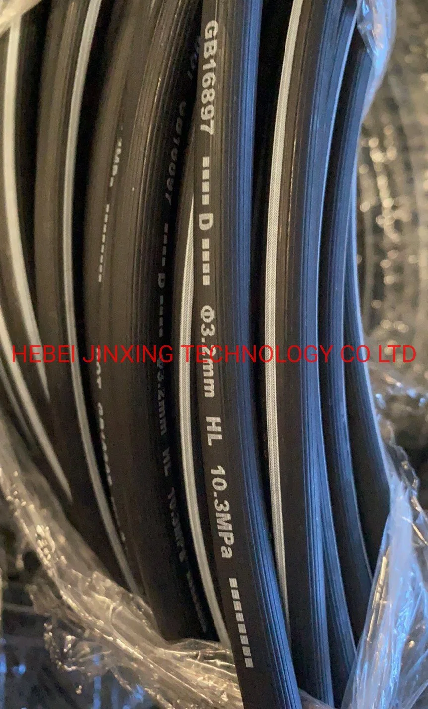 Wholesale/Supplier Hydraulic Pipe Hose Braided Polyest Layers China