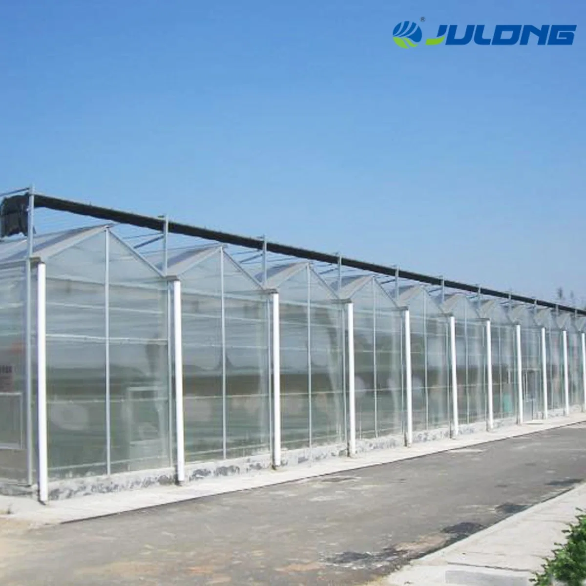 Cost-Effective PC Sheet Greenhouse for Tomato Hydroponic Growing in Middle Asia Area