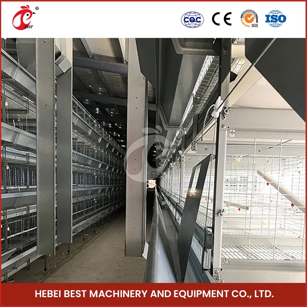 Bestchickencage China Modern Hen House Manufacturers H Frame Automatic Boriler Cages High-Quality Solid Wood Material Stackable Chicken Cages