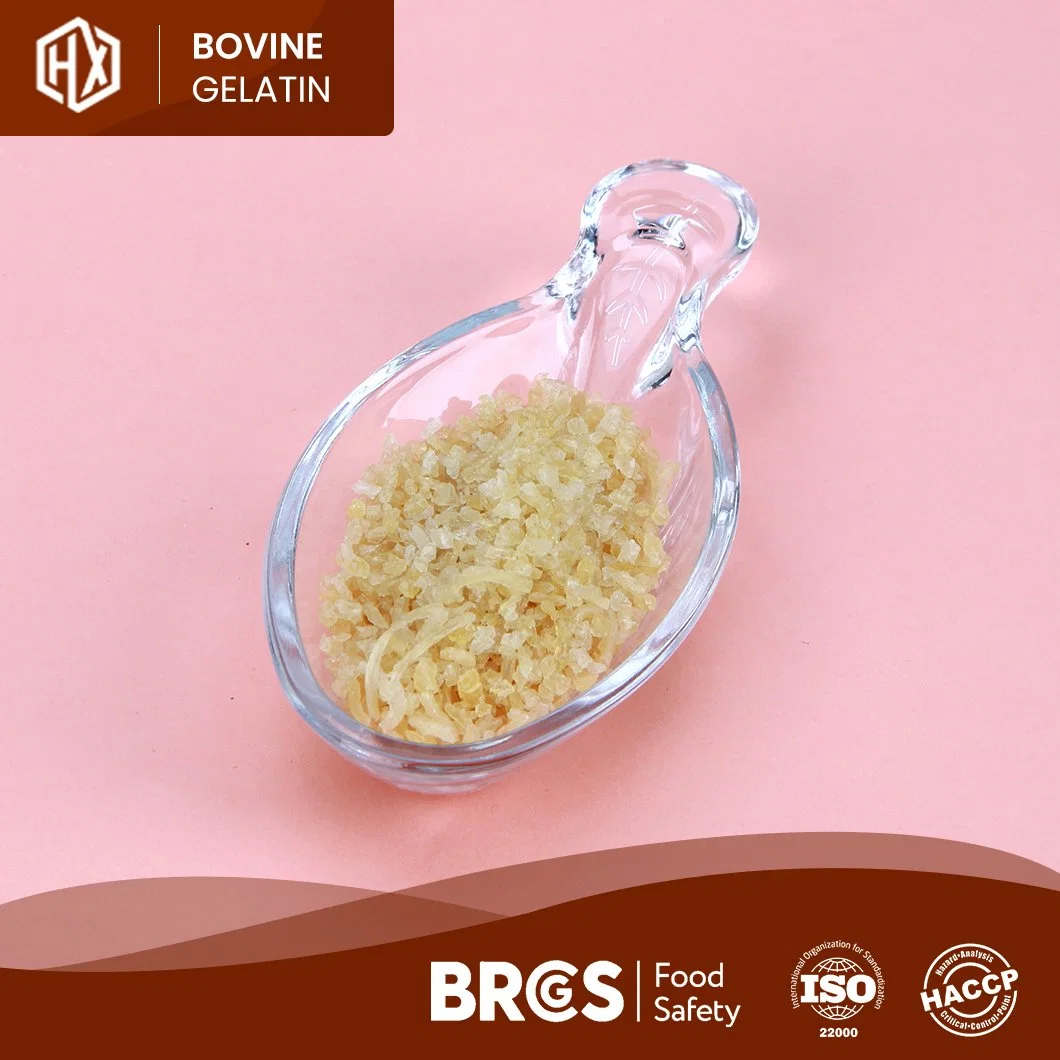 Haoxiang Barato preço Bovinos Comestíveis Pele Amostra de gelatina disponíveis bovinos farmacêutica gelatina de pele China Qualidade de Fornecedores de bovinos Industrial Gelatina de pele