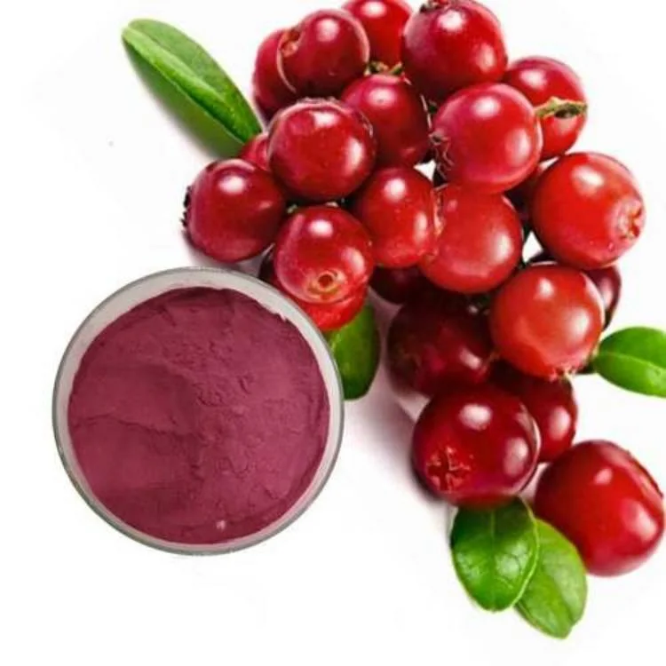 1% до 25% фруктов извлечения Anthocyandins порошок Cranberry Extract