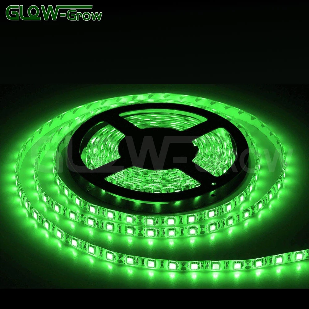 10m 30LEDs/M 3.6W/M 12V/24V Flexible SMD RGB LED Light Strip for Bar Wedding Home Christmas Decoration