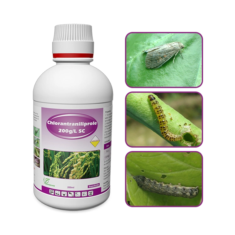 Agrochimiques de GreenRiver insecticide Chlorantraniliprole 200g/L SC, 10% SC lutte contre la myéryère de chute