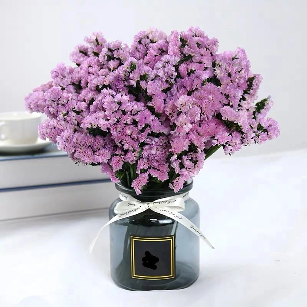 China Supplier Wholesale/Supplier Hot Sell Fresh Cut Flowers Statice for Best Decoration