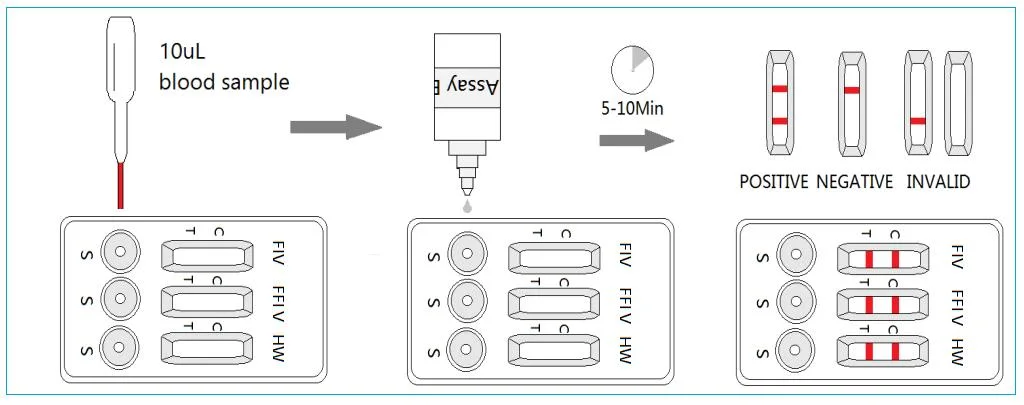 Fiv-Felv-Hw Test for Cat Fiv Ab-Felv AG-Heartworm AG Combo Rapid Test