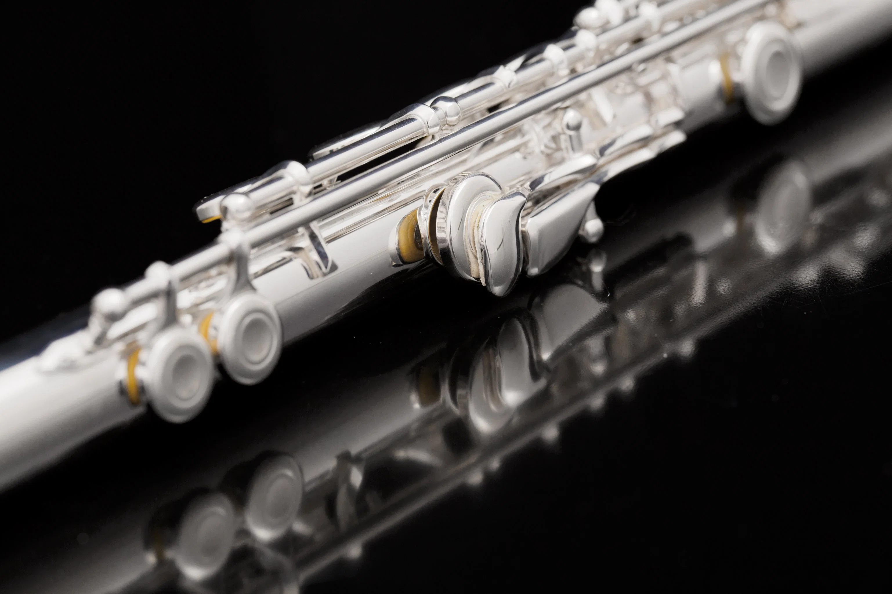 Student Beginner Flute Good Price