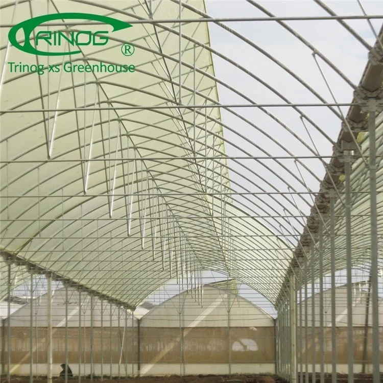 2020 Original Factory Multi-span Film Greenhouse