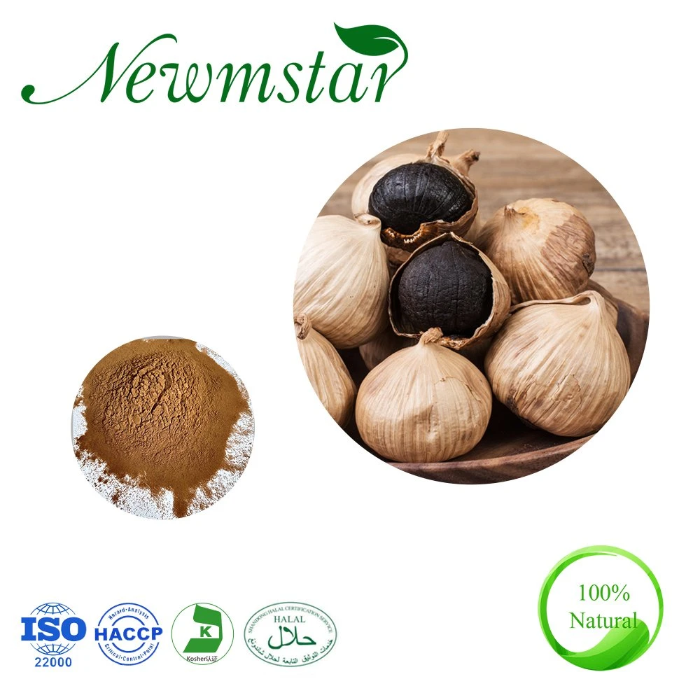 ISO22000 Certificated Allicin Powder Black Garlic Polyphenols Fermented Black Garlic Extract