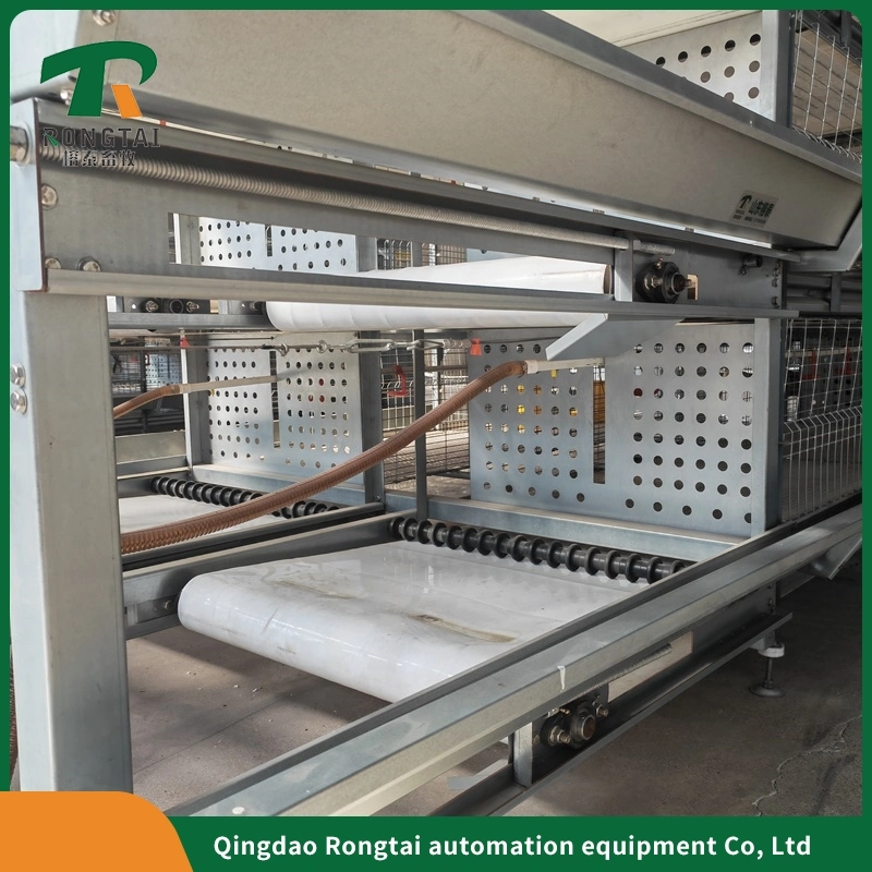 Hot Sale High quality/High cost performance  One-Stop Service Automatic Hens Layer Cage Feeding Equipment for Poultry Farms